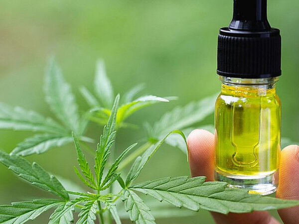 How does premium full spectrum CBD oil support natural wellness