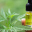 How does premium full spectrum CBD oil support natural wellness