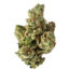 Is the Runtz Strain a Natural Option for Pain Relief