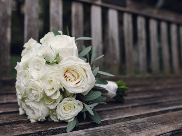 The Most Appropriate Flowers for Expressing Sympathy